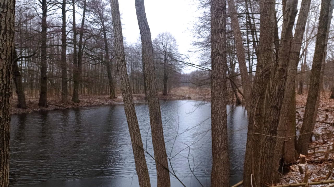 Działka inna Łódź Nowe Złotno, ul. Podchorążych. Zdjęcie 4