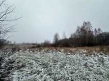 Działka rolna Śladków Duży. Zdjęcie 4