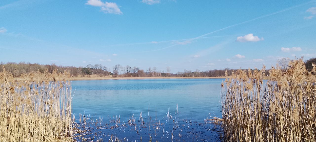 Działka rekreacyjna Martiany. Zdjęcie 2