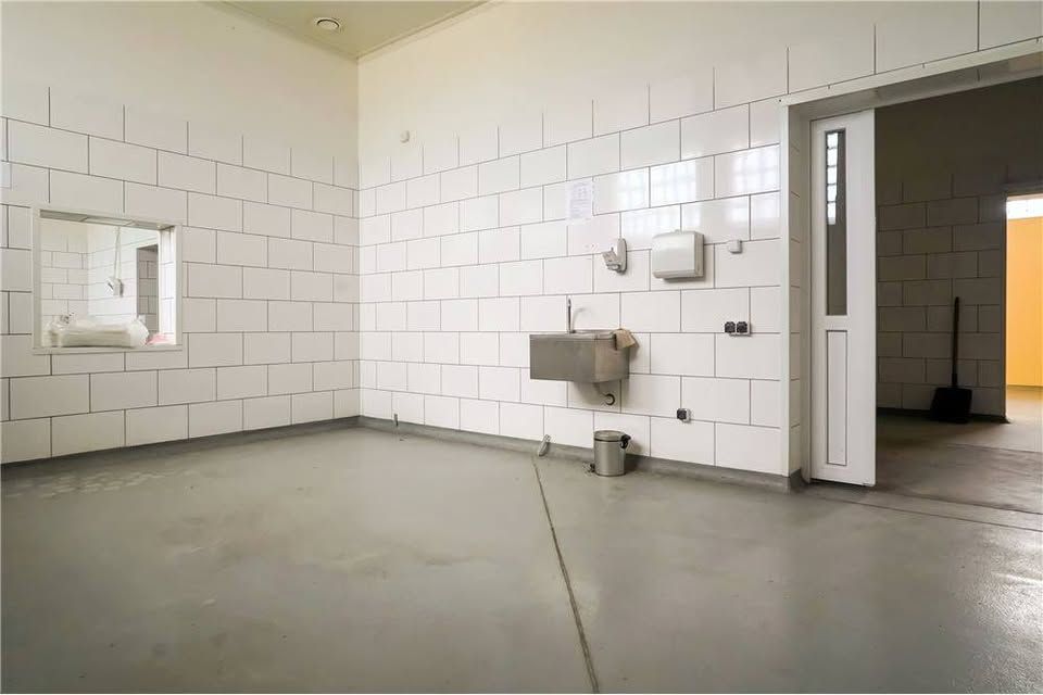 Hala/magazyn Gołębiewo, Gołębiewa. Zdjęcie 7