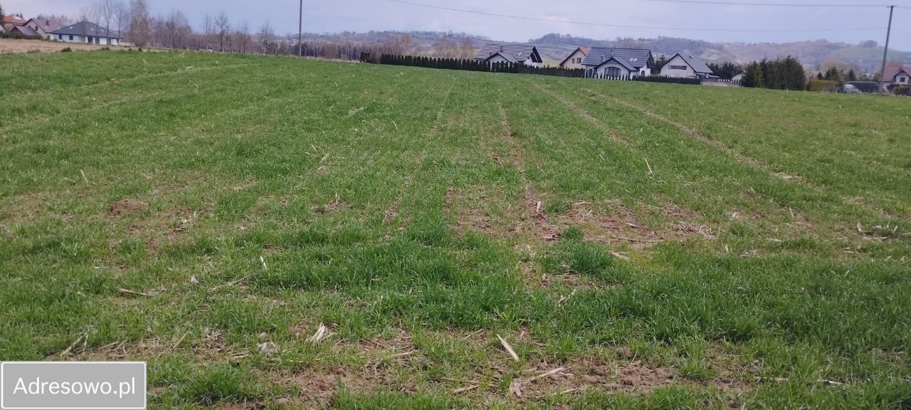 Działka budowlana Nieszkowice Małe. Zdjęcie 5