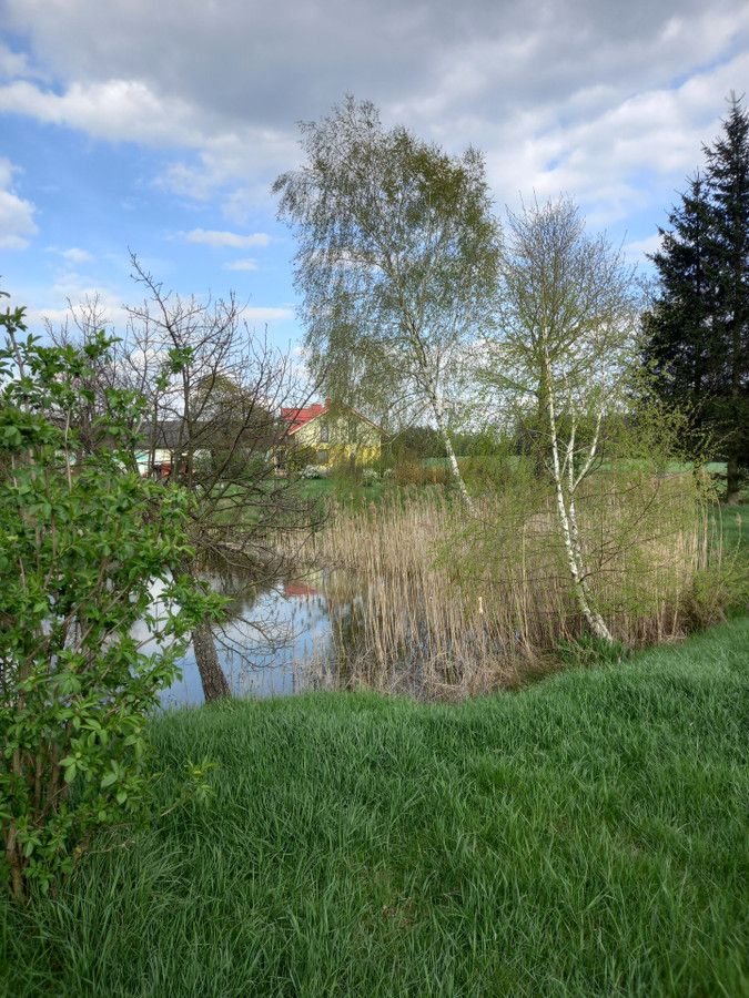 dom wolnostojący, 5 pokoi Anusin. Zdjęcie 3