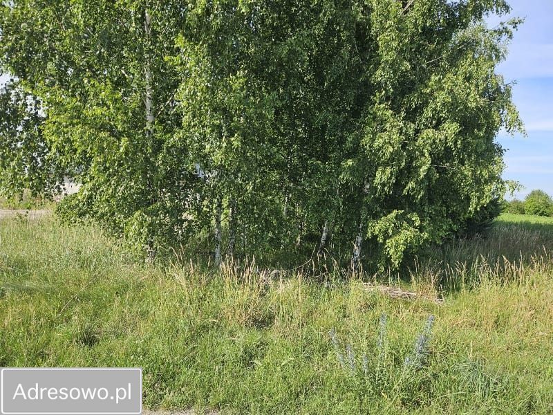 Działka budowlana Gębarzów. Zdjęcie 6