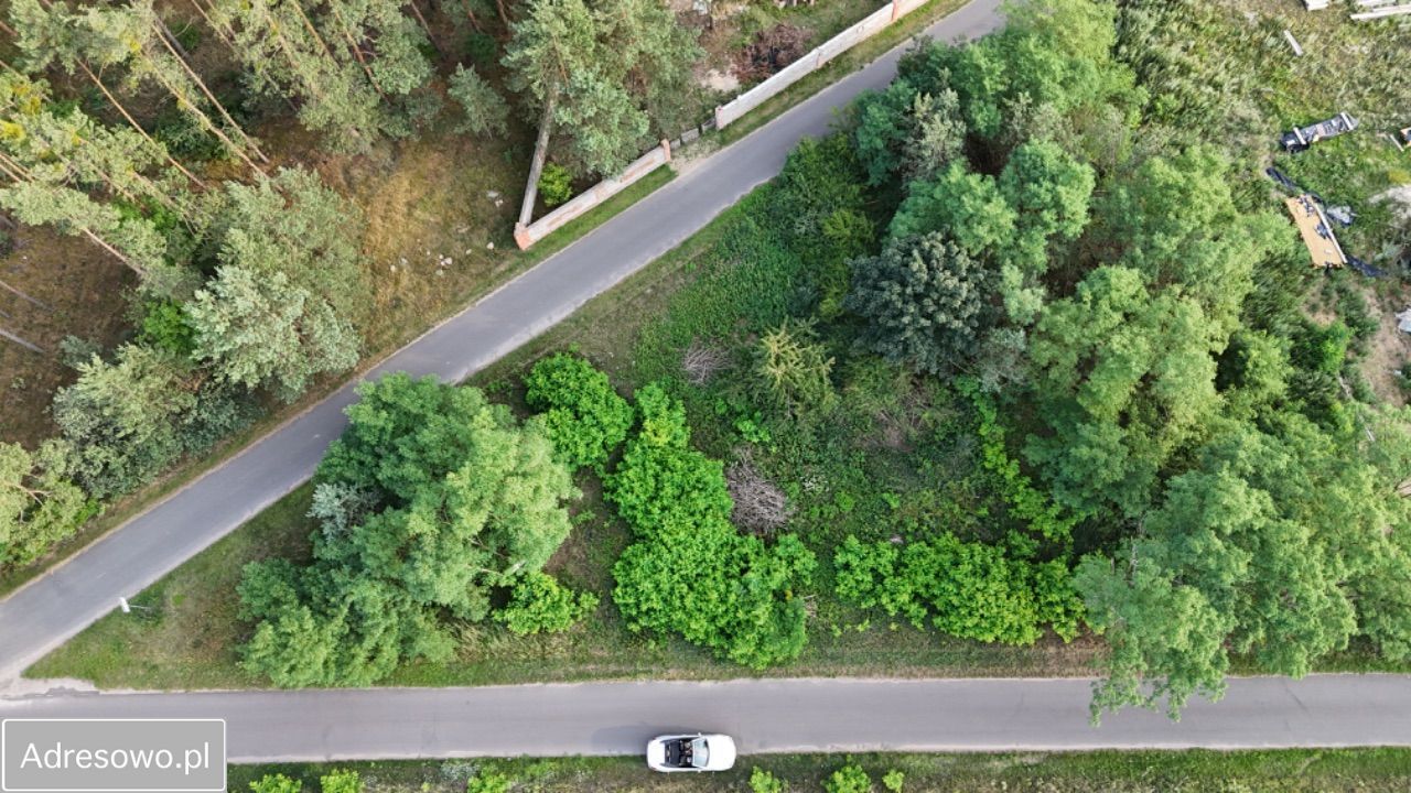 Działka budowlana Miłoradzice. Zdjęcie 7