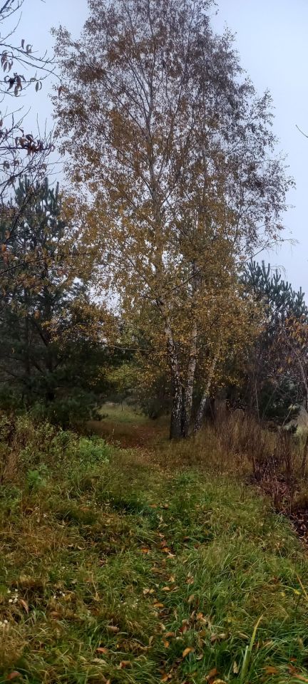 Działka rolno-budowlana Jania Góra Rudzianek. Zdjęcie 5