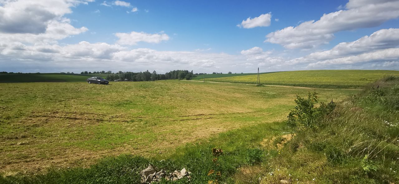 Działka rolna Łodwigowo. Zdjęcie 6