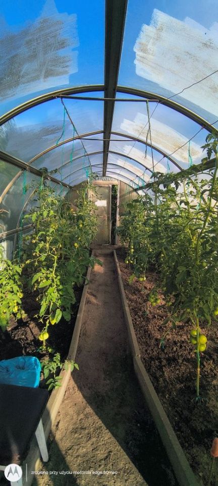 Działka rod Oborniki. Zdjęcie 3