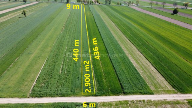Działka inwestycyjna Rybno. Zdjęcie 5