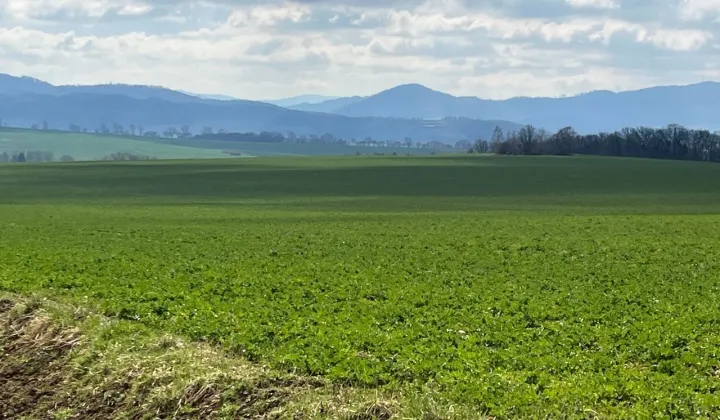 Działka rolna Rzeszówek