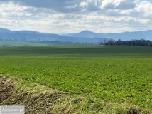 Działka rolna Rzeszówek