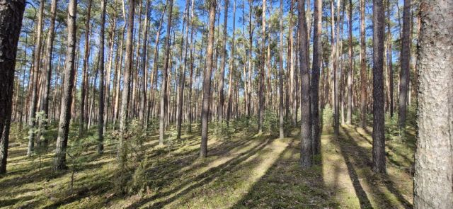 Działka siedliskowa Osiedle Wilga. Zdjęcie 1