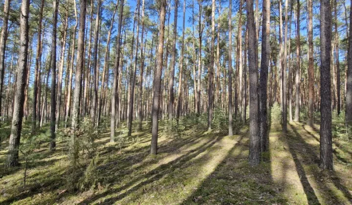 Działka rekreacyjna Osiedle Wilga