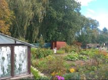 Działka rekreacyjna Ostrzeszów, ul. Kąpielowa. Zdjęcie 2