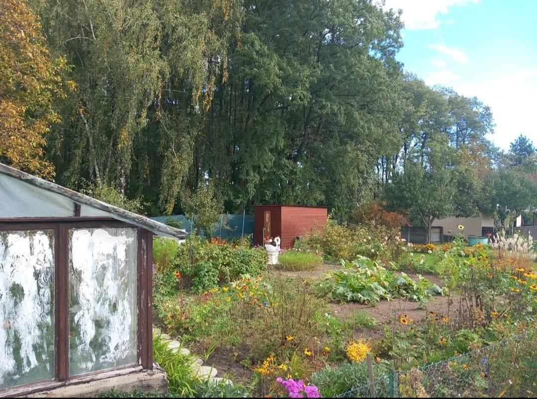 Działka rekreacyjna Ostrzeszów, ul. Kąpielowa. Zdjęcie 3