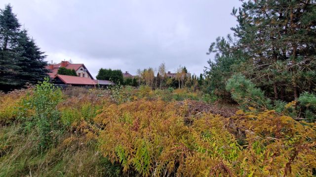 Działka rolna Giedajty, ul. Bratkowa. Zdjęcie 1