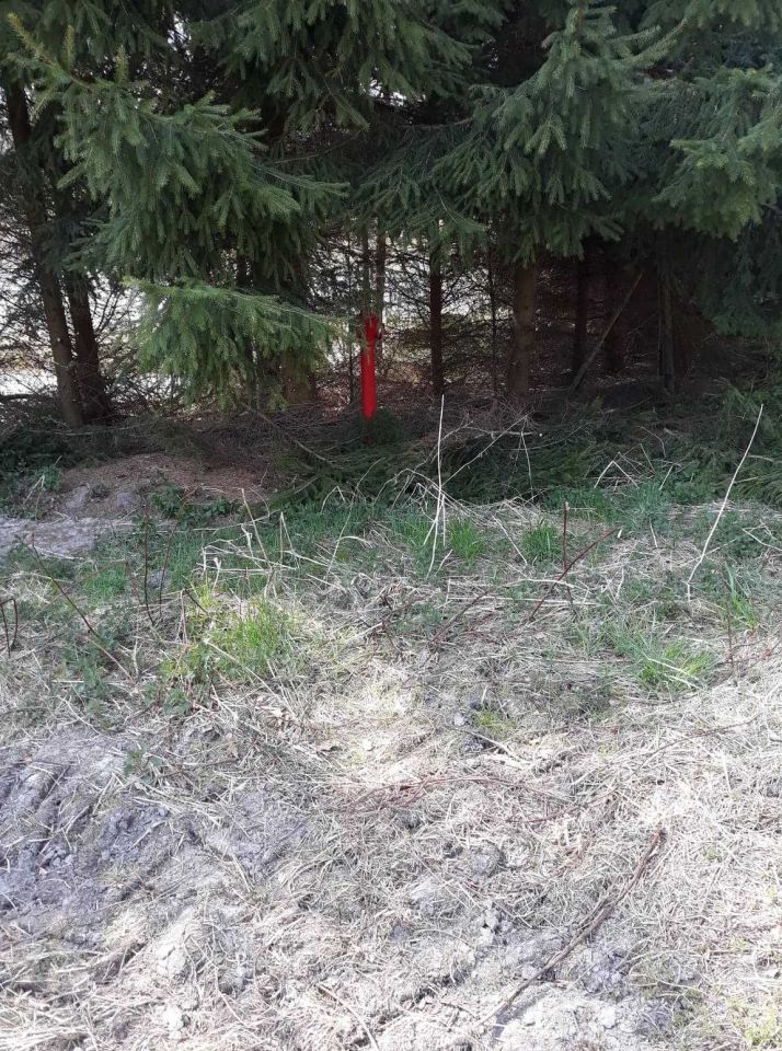 Działka rolno-budowlana Patryki. Zdjęcie 6