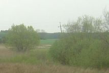 Działka rolna Turno. Zdjęcie 1