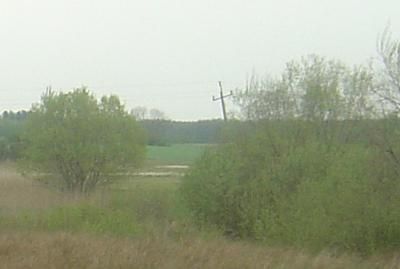 Działka rolna Turno. Zdjęcie 2