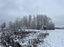 Działka rolna Gadka, ul. Mały Gościniec. Zdjęcie 1