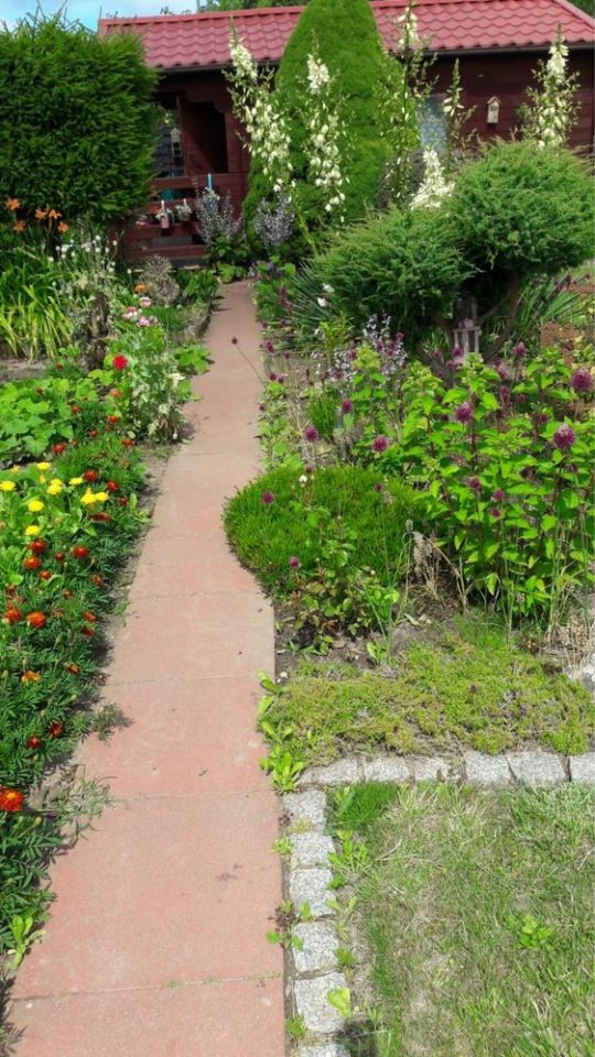 Działka rod Kamień Pomorski. Zdjęcie 4