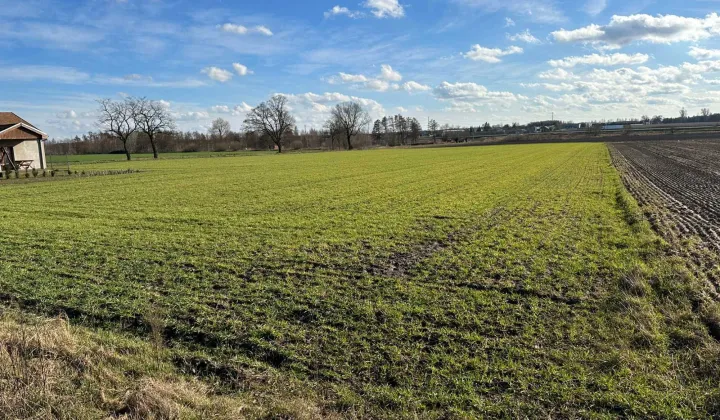 Działka budowlana Markowice