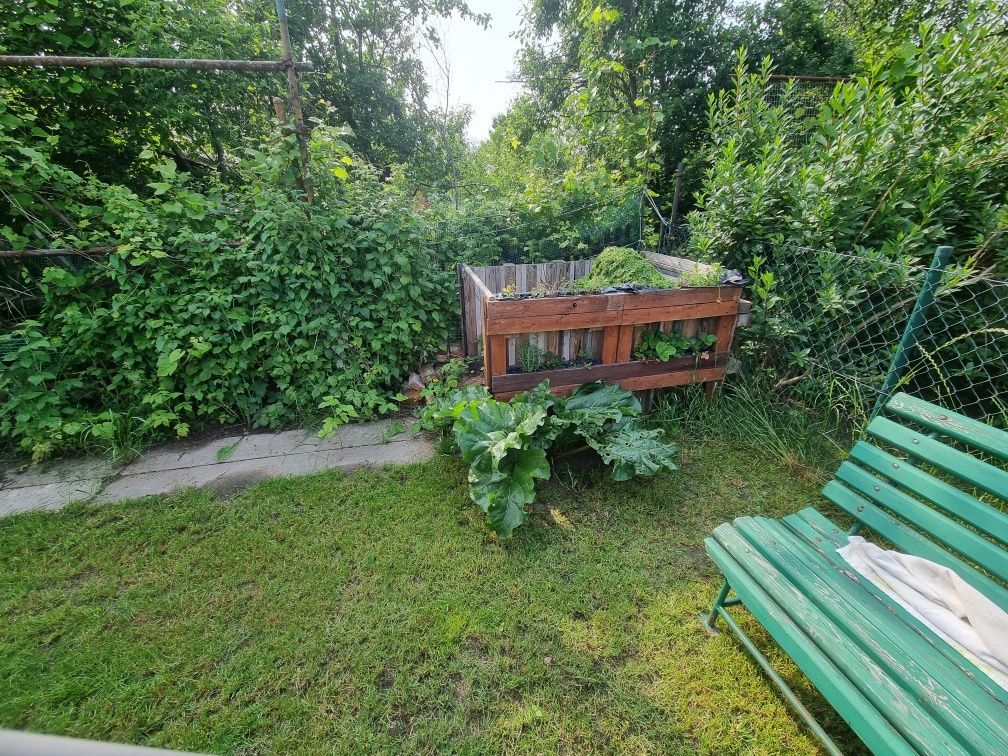 Działka rod Wrocław Polanowice. Zdjęcie 2