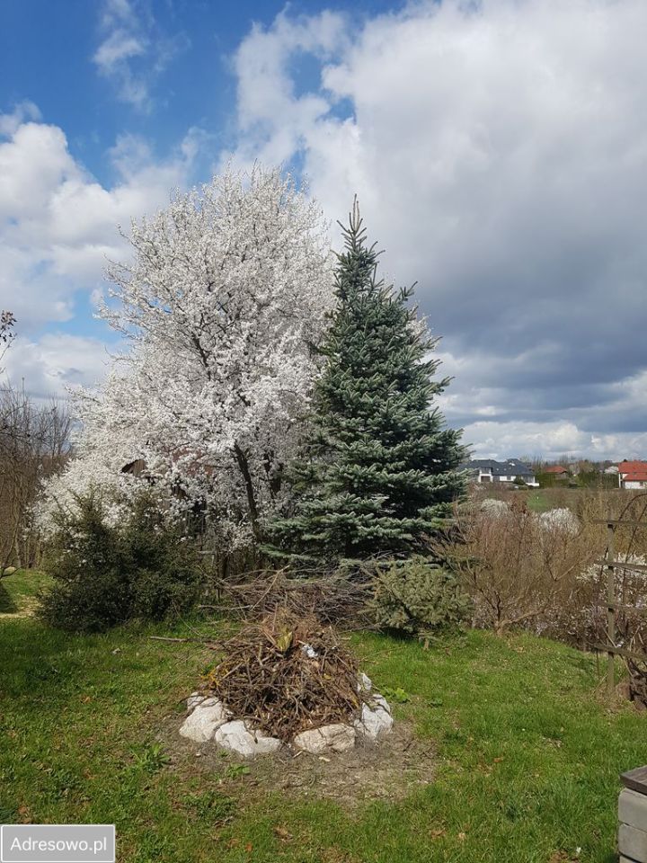 dom wolnostojący, 3 pokoje Sandomierz, ul. Księcia Henryka Sandomierskiego. Zdjęcie 15