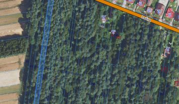 Działka leśna Brzozówka-Kolonia