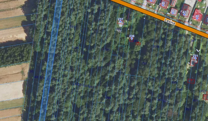 Działka leśna Brzozówka-Kolonia