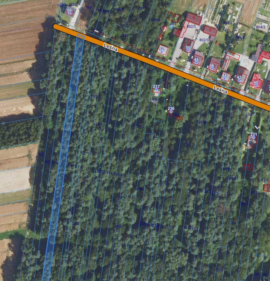 Działka leśna Brzozówka-Kolonia