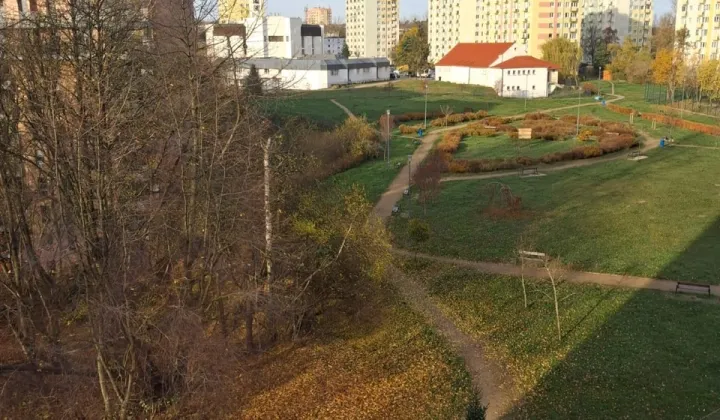 Mieszkanie 2-pokojowe Gdynia Witomino, ul. Narcyzowa