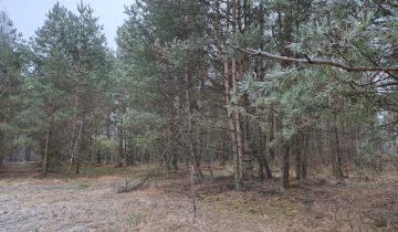 Działka rolna Widełka