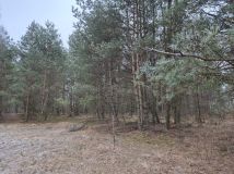 Działka rolna Widełka