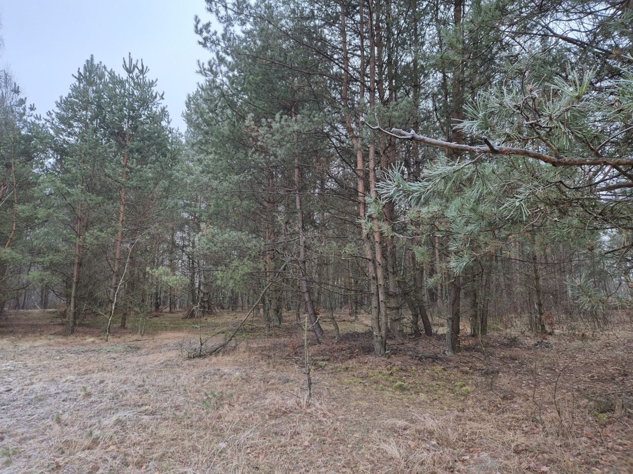 Działka rolna Widełka