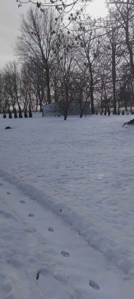 Działka rolno-budowlana Tarnogród. Zdjęcie 6