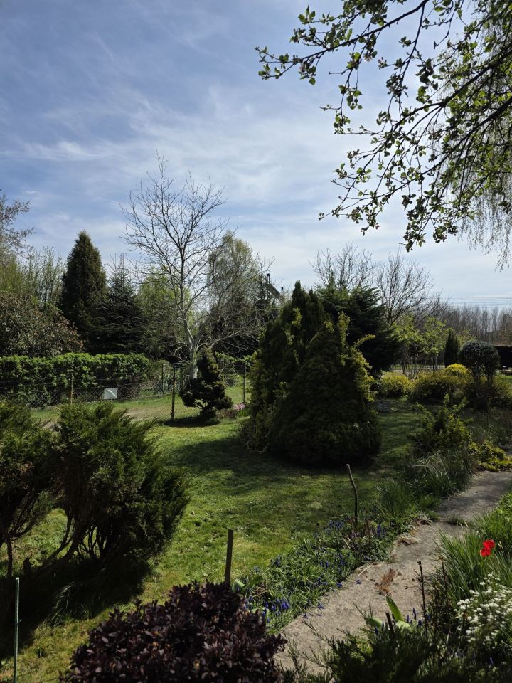 Działka rod Sosnowiec Klimontów. Zdjęcie 6