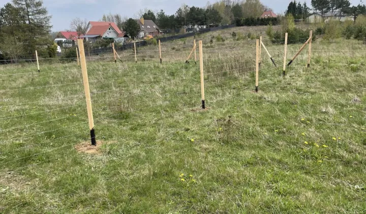 Działka rekreacyjna Koleczkowo