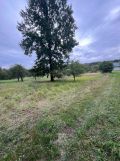 Działka rolna Sewerynów. Zdjęcie 2