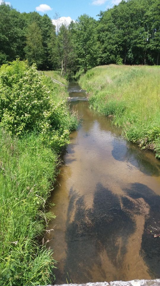 Działka rolno-budowlana Laskowizna. Zdjęcie 4