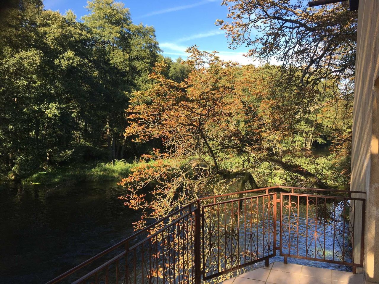 bliźniak Czapla. Zdjęcie 3