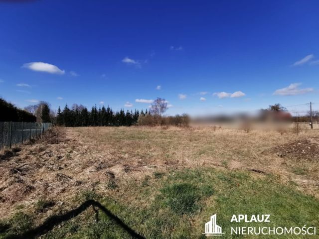 Działka rolna Łomnica. Zdjęcie 4