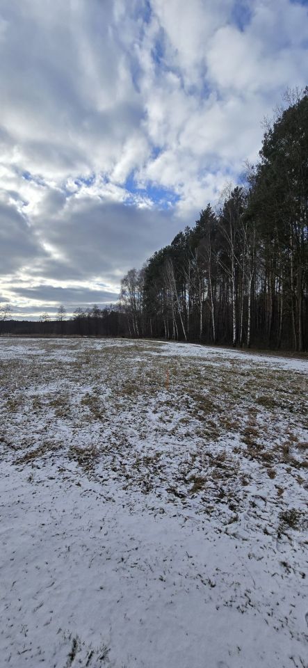 Działka siedliskowa Przychodzko. Zdjęcie 2