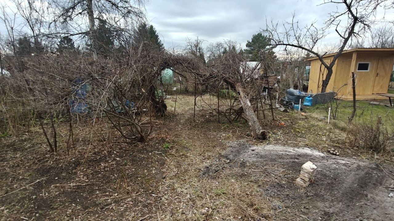 Działka rod Wrocław Śródmieście, ul. Odona Bujwida. Zdjęcie 4