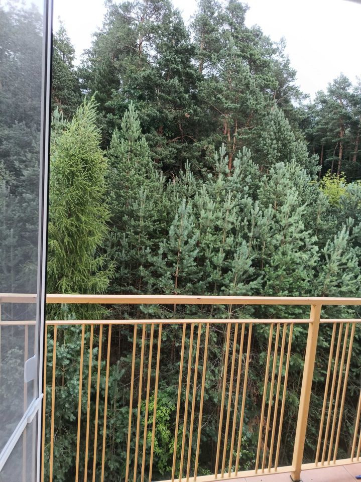 Mieszkanie 2-pokojowe Nowe Miasto Lubawskie. Zdjęcie 8