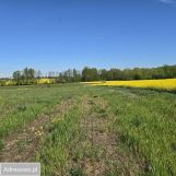 Działka budowlana Trójca. Zdjęcie 4