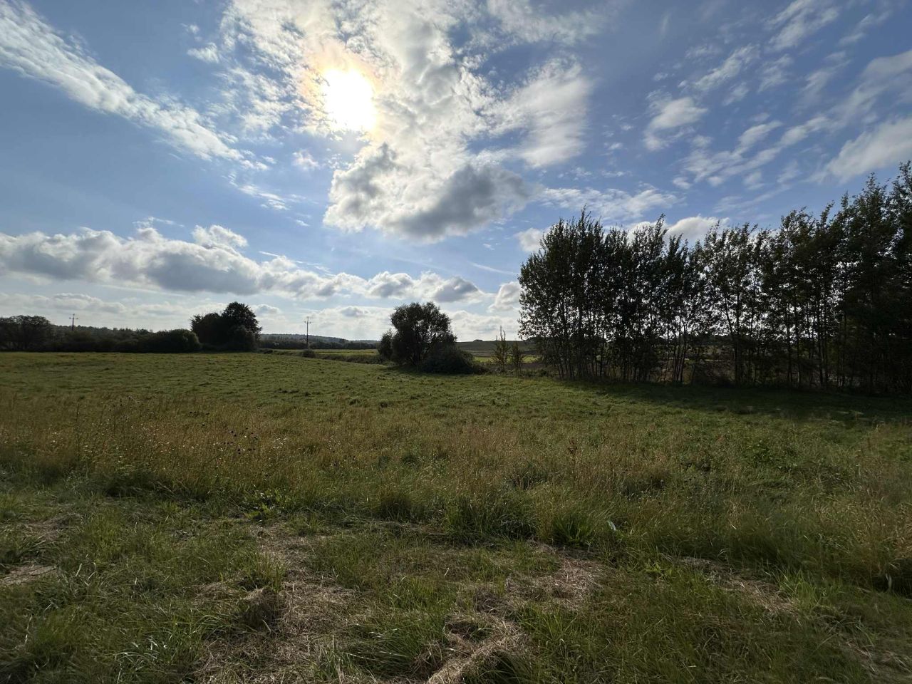 Działka siedliskowa Frednowy. Zdjęcie 5