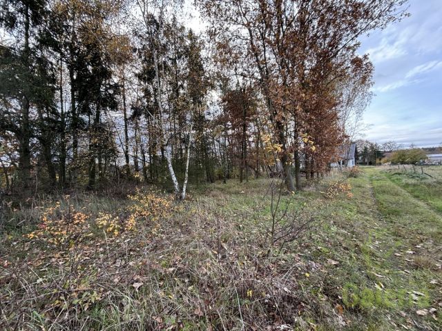 Działka budowlana Niedźwiedź. Zdjęcie 4