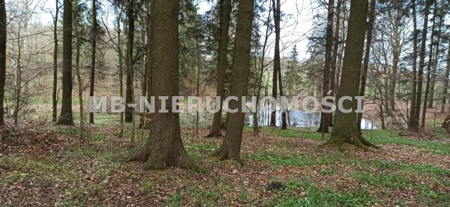 Działka siedliskowa Sętal. Zdjęcie 9
