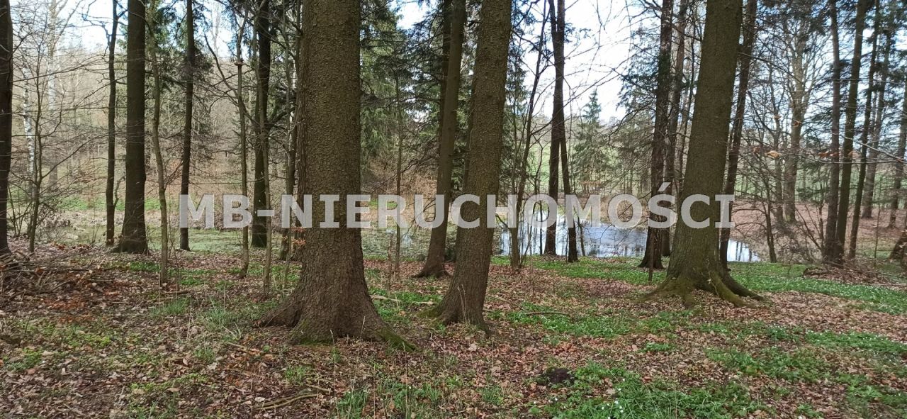 Działka siedliskowa Sętal. Zdjęcie 9