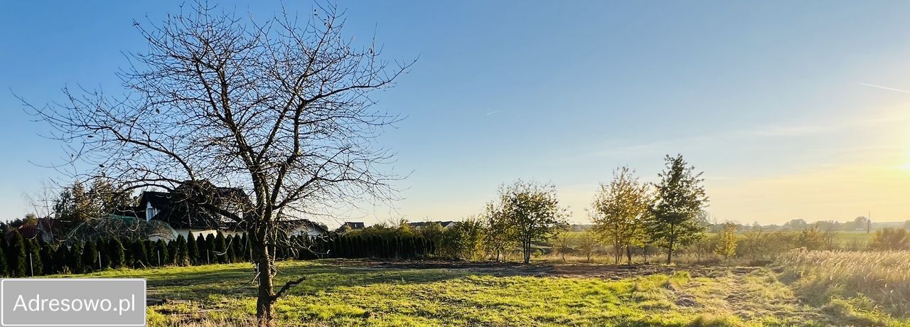 Działka budowlana Rumianek, ul. Parkowa. Zdjęcie 1